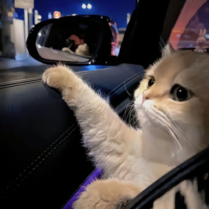 我想你㖭我的BB
